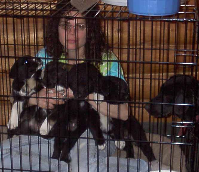 Ilana in the crate holding 4 pups. Momma-pup is next to me.